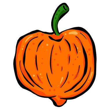 Hot Chilli Pepper Cartoon Illustration Vector