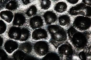 A Alien trypophobia holes in a shiny sci-fi close up background