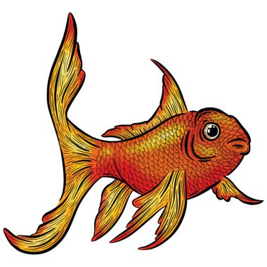 Graphic Illustration of a Gold Fish Design in Vector