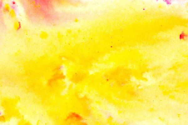 침엽수와 물갈퀴가 무지개 색깔의 — 스톡 사진