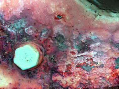 Terk Edilmiş Bir Bölgede Bir Cıvatalı Paslı Demir Metal Endüstrisinin Yakın Çekimi