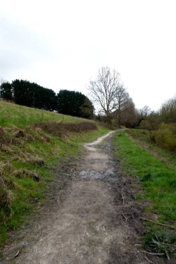 Bir İngiliz Orman Sahnesi Yollu Yürüyen Patikadan Geçer