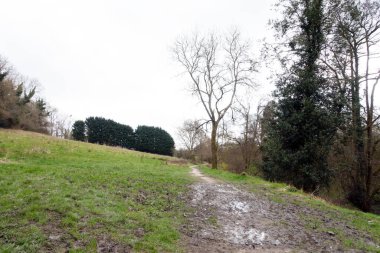 Bir İngiliz Orman Sahnesi Yollu Yürüyen Patikadan Geçer