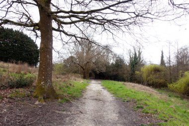 Bir İngiliz Orman Sahnesi Yollu Yürüyen Patikadan Geçer