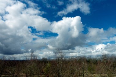 Mavi arka planda büyük kabarık bulutları olan bir manzara.