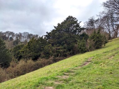 İngiliz Orman Sahnesi Yollu Yürüyen Patikadan Geçer