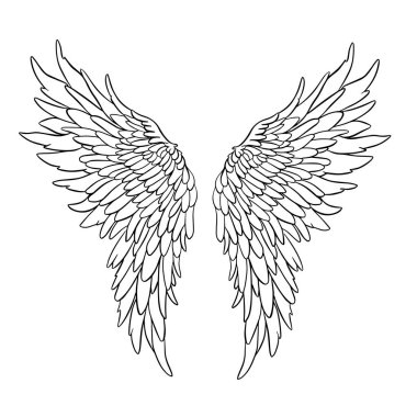 Melek ya da Ejderha Çizimi şeklinde Kanat Tüyleri Vektör