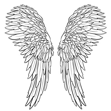 Melek ya da Ejderha Çizimi şeklinde Kanat Tüyleri Vektör