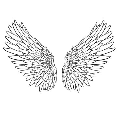 Melek ya da Ejderha Çizimi şeklinde Kanat Tüyleri Vektör