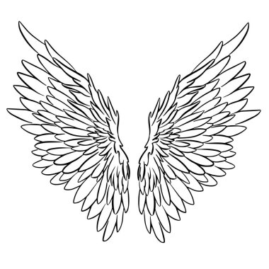 Melek ya da Ejderha Çizimi şeklinde Kanat Tüyleri Vektör