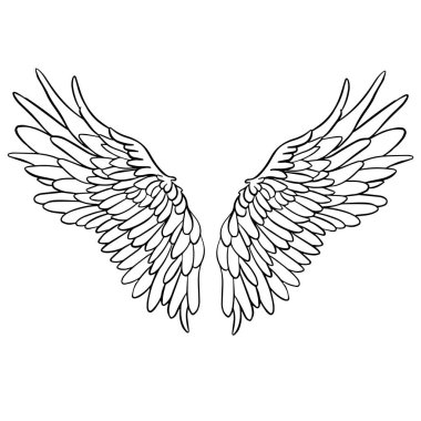 Melek ya da Ejderha Çizimi şeklinde Kanat Tüyleri Vektör