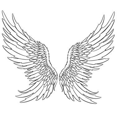 Melek ya da Ejderha Çizimi şeklinde Kanat Tüyleri Vektör