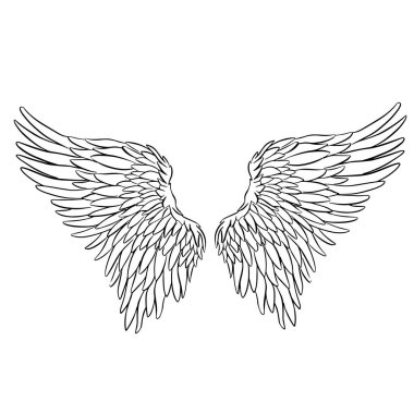 Melek ya da Ejderha Çizimi şeklinde Kanat Tüyleri Vektör