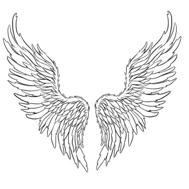 Melek ya da Ejderha Çizimi şeklinde Kanat Tüyleri Vektör