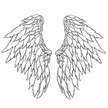 Melek ya da Ejderha Çizimi şeklinde Kanat Tüyleri Vektör