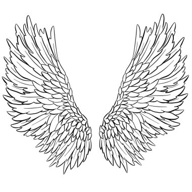Melek ya da Ejderha Çizimi şeklinde Kanat Tüyleri Vektör