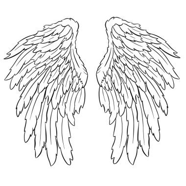 Melek ya da Ejderha Çizimi şeklinde Kanat Tüyleri Vektör