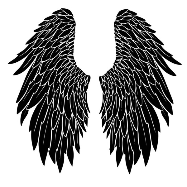 Feather Wings in the form of Angel or Dragon Illustration in Vector
