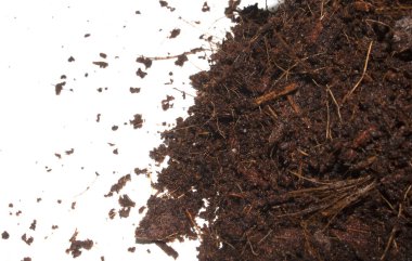 Beyaz Arkaplanda Kahverengi Toprağın Yakın Çekimi