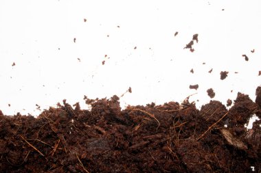 Beyaz Arkaplanda Kahverengi Toprağın Yakın Çekimi