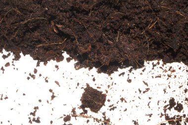 Beyaz Arkaplanda Kahverengi Toprağın Yakın Çekimi