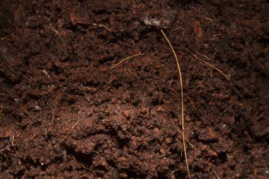 Beyaz Arkaplanda Kahverengi Toprağın Yakın Çekimi