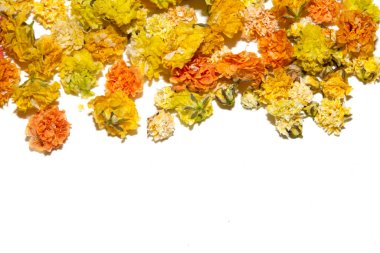 Güzel Çiçekli Bebekler Düğünler ve Tasarım İçin Beyaz Arkaplanda Nefes Alıyor