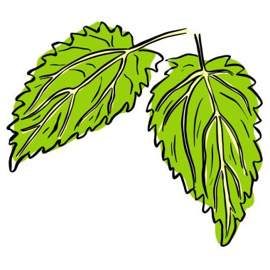 Klip Sanatı Biçimi Vektörde Sonbahar Yaprak İllüstrasyonu 