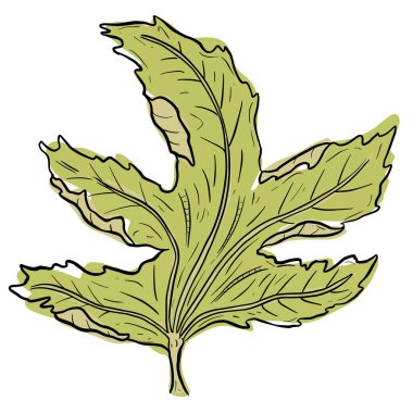 Klip Sanatı Biçimi Vektörde Sonbahar Yaprak İllüstrasyonu 