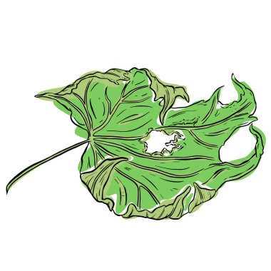 Klip Sanatı Biçimi Vektörde Sonbahar Yaprak İllüstrasyonu 