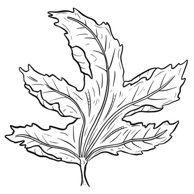 Klip Sanatı Biçimi Vektörde Sonbahar Yaprak İllüstrasyonu 