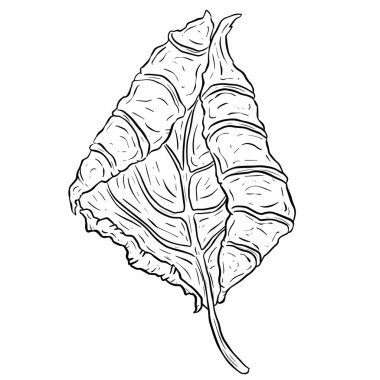 Klip Sanatı Biçimi Vektörde Sonbahar Yaprak İllüstrasyonu 