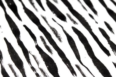 Beyaz Arkaplan Zebra Derisi Barkod Şeklinde Kalın Mürekkep Kalemi Siyah Çizgiler