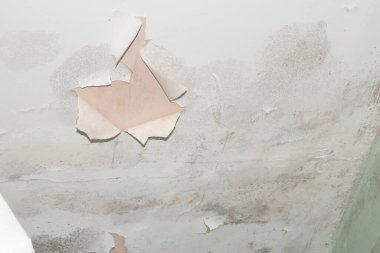 Hasarlı Çırpınma ve Düşen Boya Islak Banyo 'da Tavana Düşme