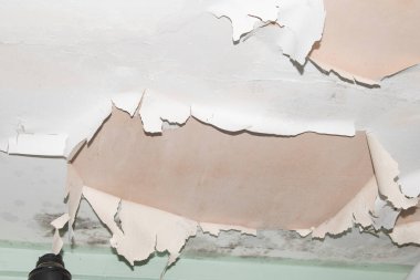 Hasarlı Çırpınma ve Düşen Boya Islak Banyo 'da Tavana Düşme