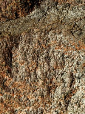 Çizgiler ve Büyük Tuğlalı Eski Taş Dokusu