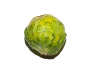 Brüksel Lahanası 'nın Kapanışı