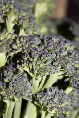 Brokoli Sapığı Yeşil Sebzeye Yakın