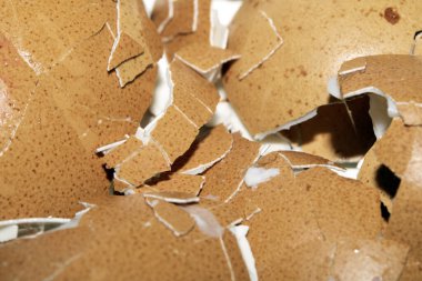 Kırık Kabuklu Yumurtanın Kapanışı Beyaz Arkaplanda Kırık Yumurta