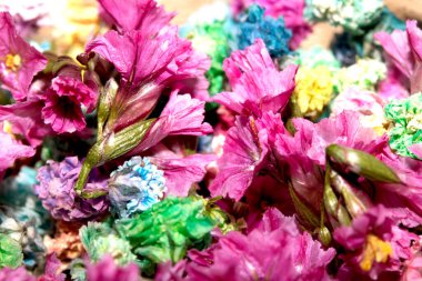 Renkli Minik Çiçek Yaprakları Arkaplan İçin Renkli Kapalı