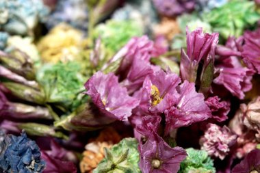 Renkli Minik Çiçek Yaprakları Arkaplan İçin Renkli Kapalı