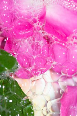 Çiçek Arkaplanı İçin Soyut Kırmızı Pembe Gül Yaprakları