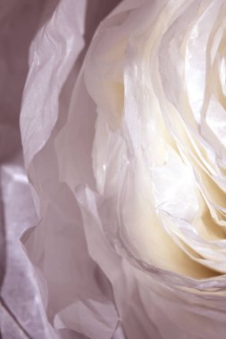 Yırtık Kağıt Katmanları Hassas Soyut Geniş Yaprak Döküm Arkaplanı