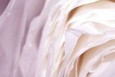 Yırtık Kağıt Katmanları Hassas Soyut Geniş Yaprak Döküm Arkaplanı