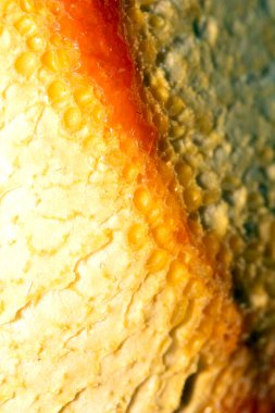 Soyulmuş Portakal Deri Soyulmuş Arkaplanının Kapanışı