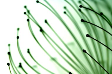 fiber optik kablolar makro mavi renk tonlu resimle kapat