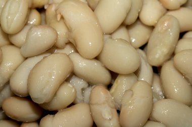 Cannellini fasulyelerini yakın.