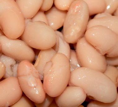 Cannellini fasulyelerini yakın.