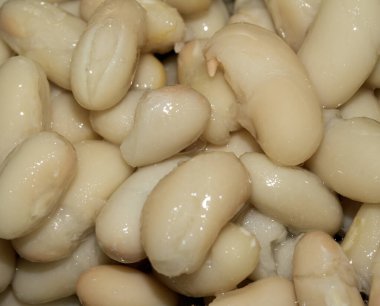 Cannellini fasulyelerini yakın.