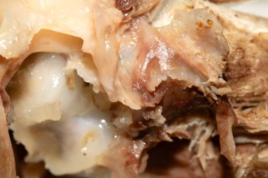 Çiğnenmiş tavuk ördek kemiği, beyaz bir arka planda et ve tendonla yakın plan.